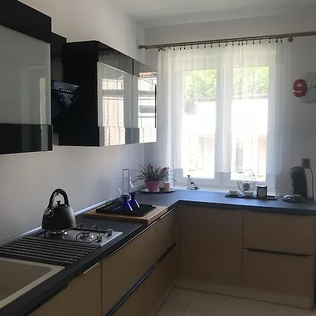 Komfortowe Apartment
