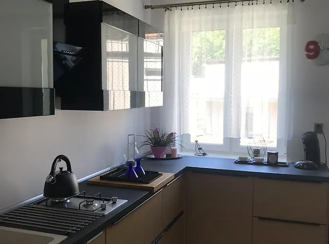 Komfortowe Appartement